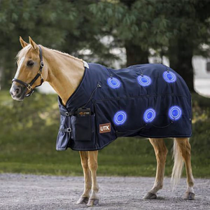Couverture de thérapie PEMF vétérinaire pour chevaux, soulagement de la douleur, récupération musculaire et entraînement - Product Image 1