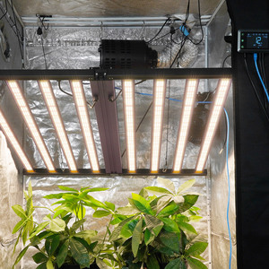 Meijiu - Lámpara de Cultivo LED de 720W con Controlador, Último Modelo, IP65, 2.6Umol, Luces Rojas y Blancas, para Horticultura Vertical - Product Image 1
