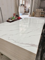 Panneau de contreplaqué de bouleau 18 mm 4x8, plaqué mélamine blanc, grain de chêne, finition brillante ou mate, pour meubles
