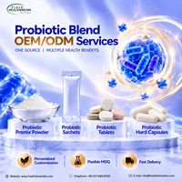 Fabricant OEM de probiotiques en gros – Mélange anti-stress 600 milliards d'UFC/g pour capsules, bandes et comprimés pressés