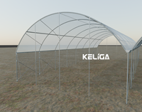 Serre Keliga : Abri pluie en polytunnel à structure en Y, serre multi-chapelles à film plastique à faible coût pour la culture des myrtilles