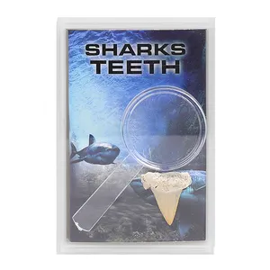 Оптовая продажа, Подарочная коробка из натуральных ископаемых Зубов Акулы с увеличительным стеклом для коллекций, образовательных целей