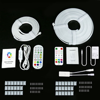 5M polychrome rvb led néon Flexible Silicone bande lumineuse ambiante intelligent bricolage numérique bande lumineuse ensemble TUYA APP