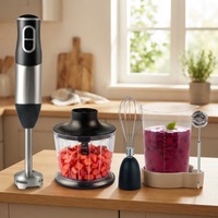 Mixeur Plongeant Électrique 2-en-1 HB-201 150W Sans Fil Rechargeable USB en Acier Inoxydable 600ml avec Hachoir pour Cuisine