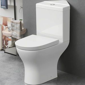 Avabo-centro comercial,Lavabo Wc Para Rincon Toilet Corner Selve - Product Image 3