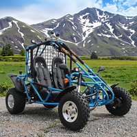 Kart Buggy Automatique à Essence 200cc pour Adultes, 2 Places, Fournisseur Chinois