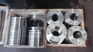 China Fabrik ANSI CE DN80 DN15 DN25 DN50 Pn16 316L RF geschmiedeter Edelstahl platten flansch