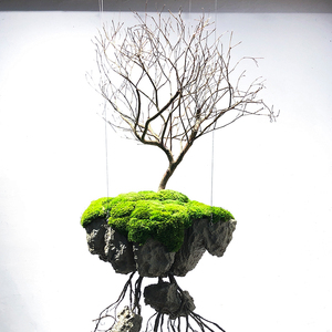 Không gian trang trí Sáng Tạo Treo nghệ thuật cảnh quan nổi héo cây chi nhánh cây nhân tạo giới thiệu Trần phù hợp với - Product Image 5