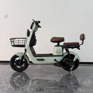 Bicycle Battery Dual Motor <b>Kit</b> Ecotric 36V Verified Fast Cheap Walking Carbon Dirt <b>Ebike</b> 250W Three-Wheeled Eu 20 Electric Bike - Product Image 2
