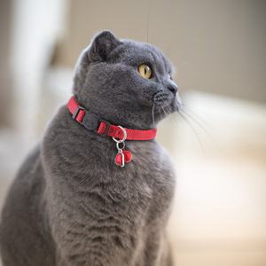 Kalung GPS Tracker Anjing dan Kucing Terbaru <span class=keywords><strong>2026</strong></span> COCO BUDDY dari Nilon Reflektif dengan Tempat AirTag dan Penutup Gesper untuk Anjing dan Kucing Kecil - Product Image 6