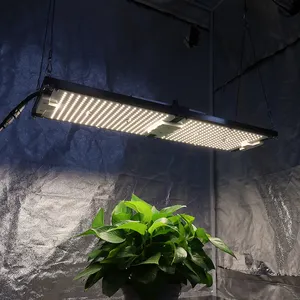 KingBrite 240W 삼성 LM301H LED 성장 빛 전체 스펙트럼 성장 램프 KingBrite 실내 텐트 2*4 FT