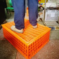 Caisses de transport en plastique pour poulets de chair à vendre