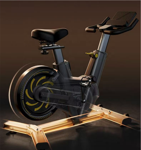 Nouveau Vélo de Spinning Silencieux 2025 pour Fitness à Domicile, Résistance Réglable, Volant d'Inertie 6kg, Vélo de Spinning d'Intérieur Chinois - Product Image 3