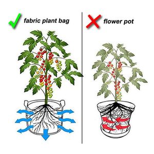 1-30 galloni <span class=keywords><strong>piante</strong></span> coltivano sacchi attrezzi <span class=keywords><strong>da</strong></span> giardino tessuto <span class=keywords><strong>vaso</strong></span> casa giardinaggio fiori <span class=keywords><strong>semi</strong></span> <span class=keywords><strong>piante</strong></span> <span class=keywords><strong>piante</strong></span> che crescono piantina crescono - Product Image 5