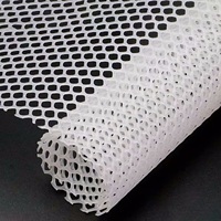 Maille en plastique extrudé HDPE durable de qualité supérieure, maille en plastique pour poulets de 20*20 mm pour la volaille