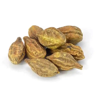 Produits à base de plantes chinoises He Zi Chebulae Fructus, graines de Myrobalan séchées AD, aliments santé de haute qualité, épices pour la régime alimentaire