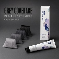 Crème colorante pour cheveux permanente de qualité supérieure à base de plantes sans ammoniaque et sans PPD OEM 100 ml Teinture pour cheveux gris