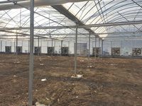 Serre agricole multi-chapelles à double couche, grande taille, à faible coût, en stock, pour projets clés en main d'hydroponie de tomates, en acier et film.
