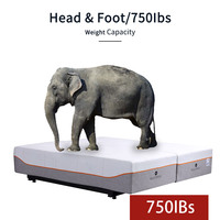 Fabricants de matelas chinois best-seller Lit réglable intelligent taille King Size Queen Size avec matelas séparé