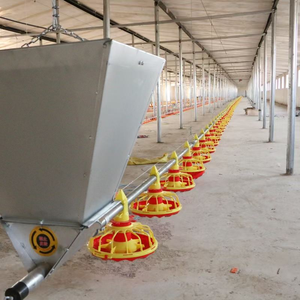 Hoàn toàn tự động gà uống hệ thống cho ăn chuỗi thức ăn cho gà nhà kho hoặc gia cầm trang trại động vật ăn - Product Image 2
