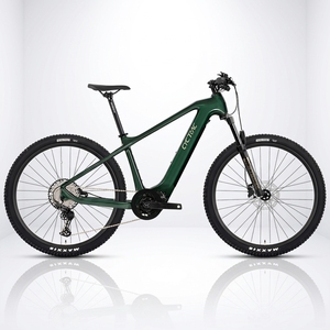 Vélo de montagne Cyctrac EM8 avec cadre en carbone, moteur central, batterie au lithium 12 vitesses - Product Image 1