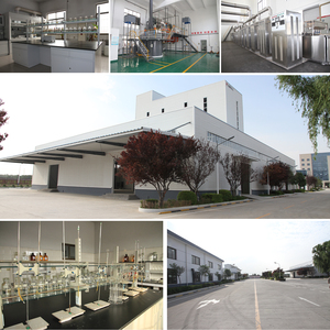 Precio de Fábrica, Polvo HPMC de la Marca KOLANKY con una Pureza Mínima del 99%, 200000 CPS, Grado de Construcción, Agentes Auxiliares para Revestimientos - Product Image 6