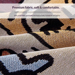 Couverture <span class=keywords><strong>de</strong></span> canapé en chenille DL Doodle, douce et moelleuse, avec franges à pompons, style bohème, pour la décoration <span class=keywords><strong>de</strong></span> la maison, vente en gros, pour salon, OEM - Product Image 2