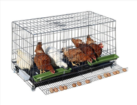 Système d'élevage de volailles à prix abordable Cage pour poules pondeuses pour poulets de chair et bébés poussins poulailler