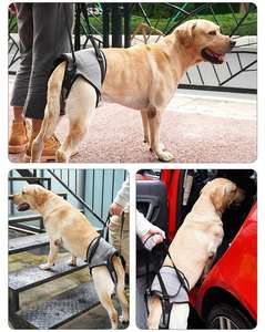 HIPHOPPET BSCI harnais de soutien de jambe arrière pour chien avec sangle de poignée pour les personnes âgées handicapées paralysie chiens ceinture de marche assistée - Product Image 6
