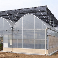 Grande serre agricole multi-chapelles clé en main en film plastique pour tomates, fraises, fleurs et myrtilles