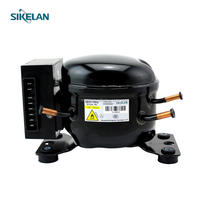 Sikelan série L 12V 24V DC compresseur R600A onduleur climatiseur réfrigérateur compresseur avec L/MBP