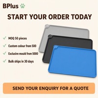 Tapis pour gamelle de chat en silicone moulé de précision BPlus 48x30cm 260g Gris Noir Bleu Ciel Étanche Bord Relevé MOQ 50 ODM Qualité Alimentaire
