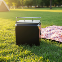 Glacière Métallique 13L OEM en Gros, Design Thermique Vintage avec Logo Personnalisé pour Camping et Pique-niques en Extérieur