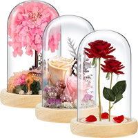 Cloche en verre transparente avec base, vitrine pour artisanat, plantes, lumières, succulentes, médailles, centre de table