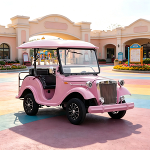 Carro de Boda Eléctrico Estilo Vintage para 4-5 Pasajeros, Limo Retro con Luces LED, Color Personalizado para Hotel o Resort - Product Image 6