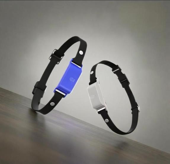 A Must Have Pet GPS Tracker Collar With 4G LTE Real Time Location Monitoring Smart Health Activity Tracker Waterproof for Hiking