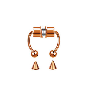 2021 Top Vente Sexy Femme Corps Bijoux En Gros Personnalisé Nouveau En Acier Inoxydable <span class=keywords><strong>Aimant</strong></span> Faux <span class=keywords><strong>Nez</strong></span> Anneau et Fer À Cheval Anneau - Product Image 4