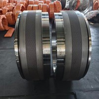 Moule annulaire en acier inoxydable pour machine à granulés de biomasse CPM7932-5 CPM7932-7 7932-9 7932-11, moteur 315KW, directement de l'usine