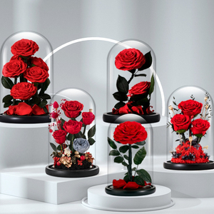 Yageli Trung Quốc Nguồn Cung Cấp Hot Bán Tùy Chỉnh Rõ Ràng <span class=keywords><strong>Acrylic</strong></span> <span class=keywords><strong>Dome</strong></span> Hiển Thị Trường Hợp Cho Con Số Đồ Chơi Với Cơ Sở Màu Đen - Product Image 3