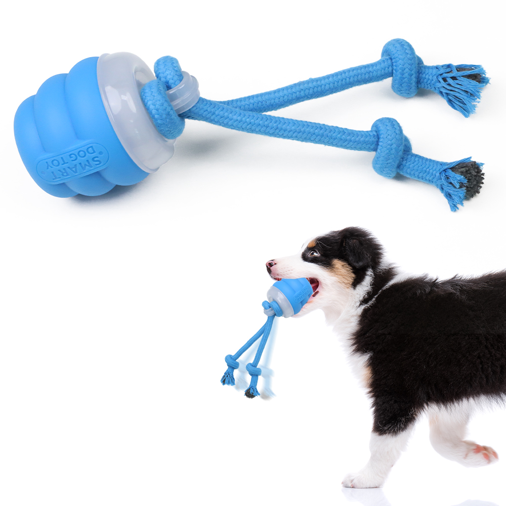 vibrating dog toy ball YVE LIFE Automatic Durable Bouncing & Vibrating Interactive Ball Dog Toy  with USB Rechargeable, Blue, Medium