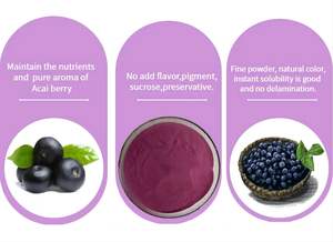 Liofilizado orgânico Açaí <span class=keywords><strong>Berry</strong></span> Fruit Pó Puro Natural Açaí <span class=keywords><strong>Berry</strong></span> Extrato Em Pó - Product Image 4