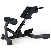 Machine de fitness commerciale VOG, Extension du haut du dos, Hyperextension, chaise romaine réglable