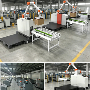 Paletizador Robótico Colaborativo de Acero Inoxidable de 0.04 mm y 20 kg de Carga Útil, Brazo Robótico Colaborativo Automático con Motor de 1600 mm de Radio, Precisión Líder en la Industria - Product Image 2