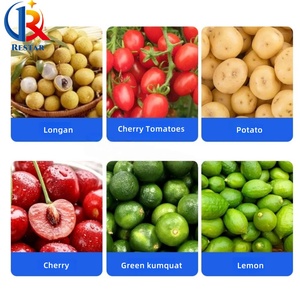 Máquina clasificadora automática de manzanas de alta eficiencia con clasificación de tamaño de precisión, ideal para el procesamiento postcosecha de huertos - Product Image 6