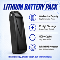 Baterai Li-ion Hailong Downtube 36V 48V 52V 10Ah untuk Konversi Sepeda Listrik, Sel 21700, 1000 Siklus