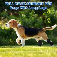 Chien Canine Knuckling Corrector Toe Dragging Brace Wrap pour patte de jambe arrière avant ou arrière