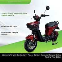 Vélo électrique Xiaofengfeng Génération 3 pour le transport urbain, exporté par le fabricant