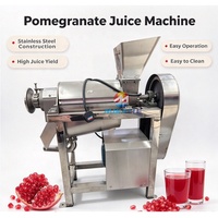Machine industrielle à grande vitesse pour le traitement du jus de grenade, machine à jus de grenade