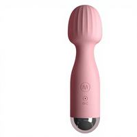 Vibrateur féminin de petite taille en silicone souple, baguette vibrante puissante, design compact, recharge USB, idéal pour les voyages