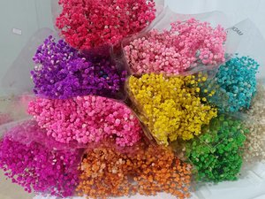 Directo de fábrica PreservedFreshFlower Babysbreath120g Venta al por mayor Gypsophila <span class=keywords><strong>Paniculata</strong></span> L - Product Image 6